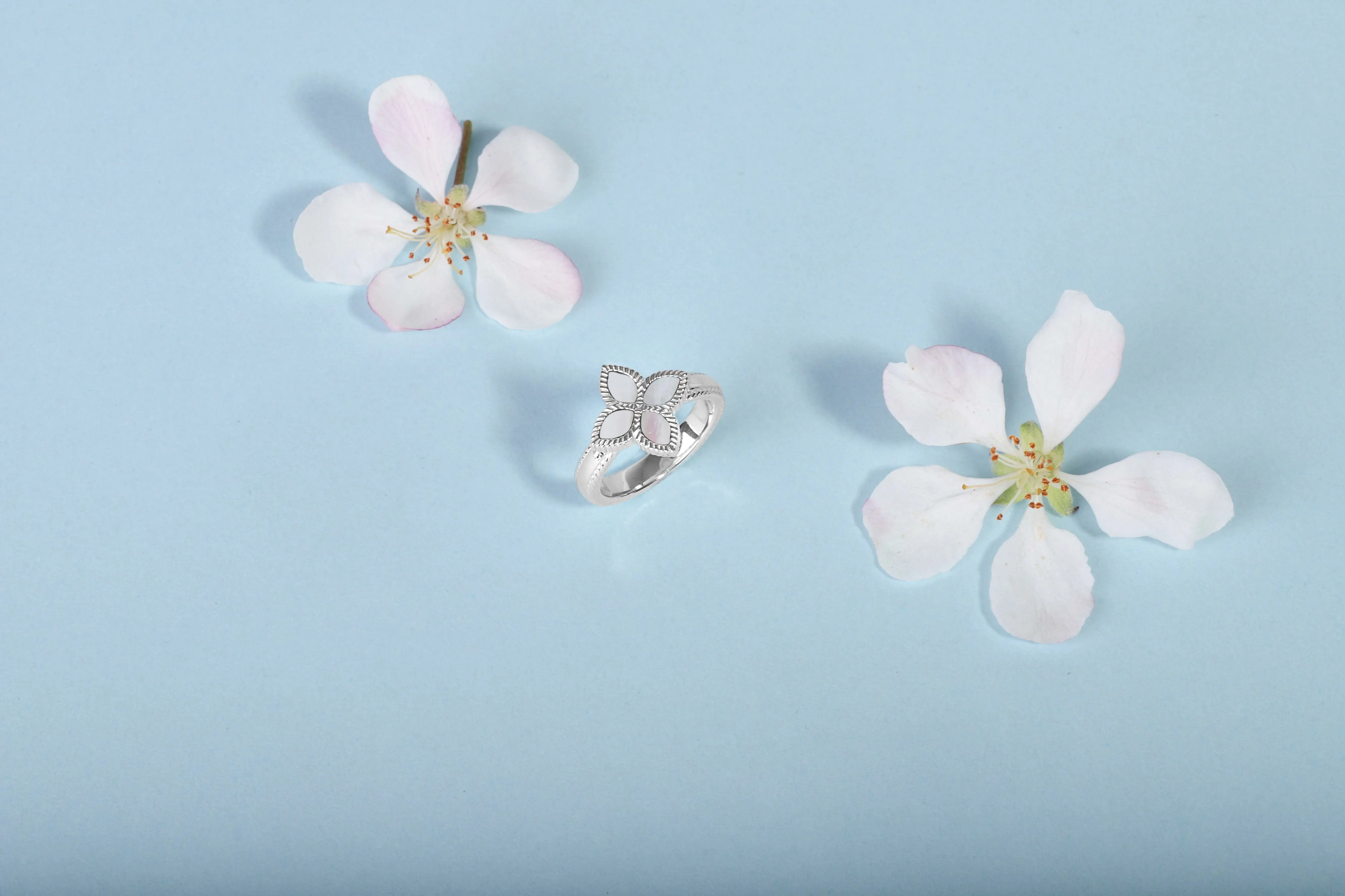 9ct Rose Gold White Mother of Pearl Eden Marquise Flower Ring