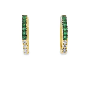 Colored Stone Earrings