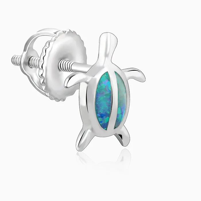 Silver Blue Turtle Studs Giva
