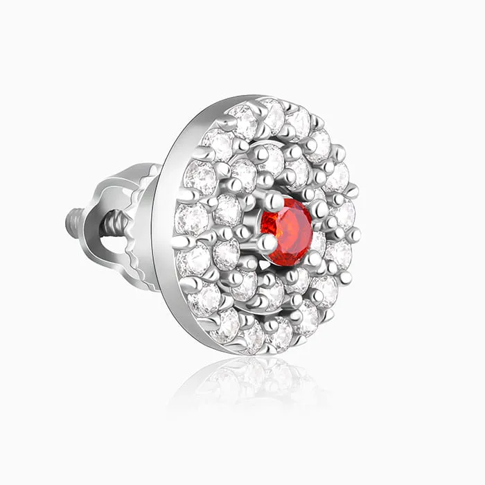 Silver Dazzling Accents Earrings Giva