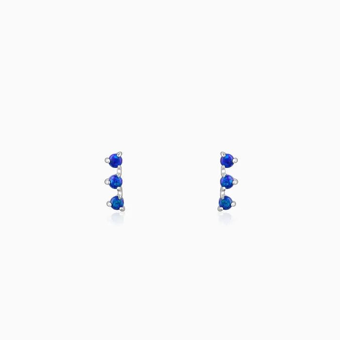Silver Elegantly Attractive Earrings Giva
