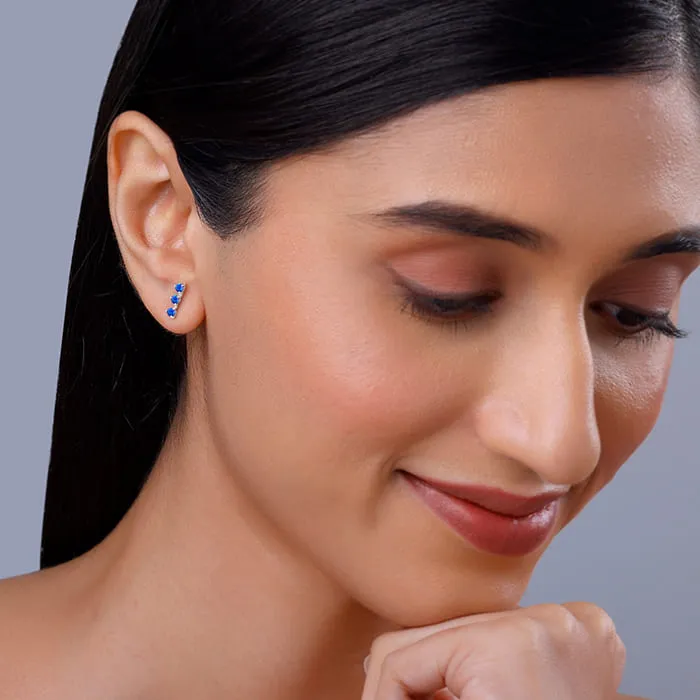 Silver Elegantly Attractive Earrings Giva