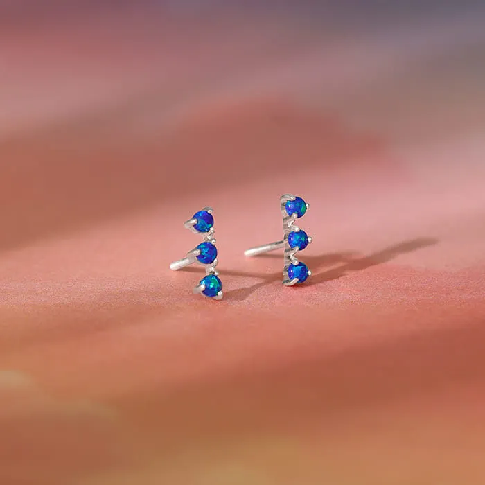 Silver Elegantly Attractive Earrings Giva