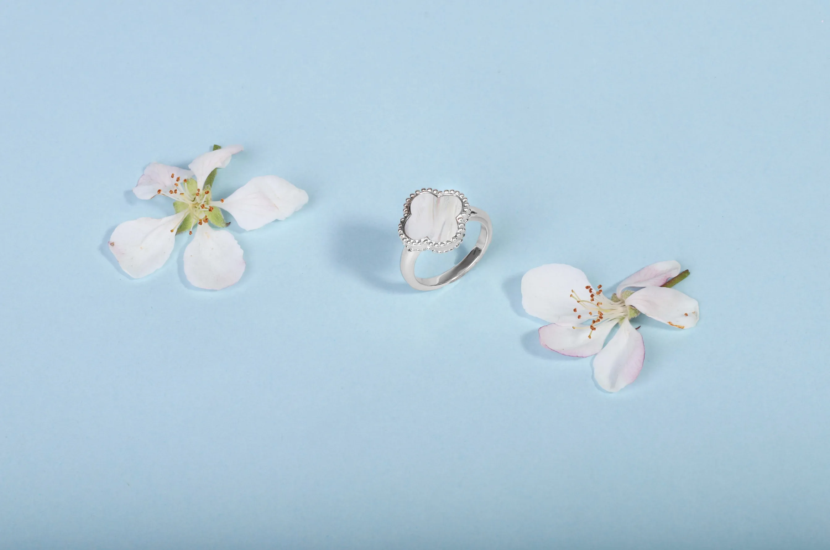 Sterling Silver White Mother of Pearl Bloom Four Leaf Clover Ball Edge Ring